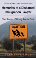 Memories of a Disbarred Immigration Lawyer