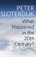What Happened in the Twentieth Century? Towards a Critique of Extremist Reason