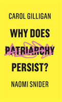 Why Does Patriarchy Persist?