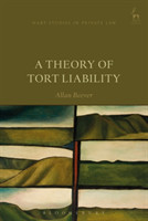 Theory of Tort Liability