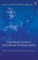 Amicus Curiae in International Criminal Justice