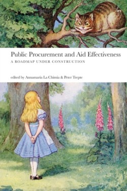 Public Procurement and Aid Effectiveness