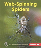 Web-Spinning Spiders