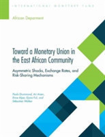 Toward a monetary union in the East African community