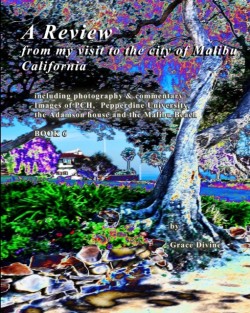 Review from my visit to the city of Malibu California