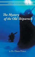 Mystery of the Old Shipwreck