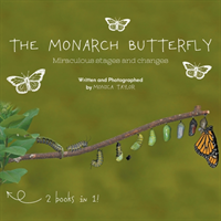 Monarch Butterfly and The Cecropia Moth