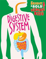 Bright and Bold Human Body: The Digestive System