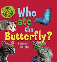 Follow the Food Chain: Who Ate the Butterfly?