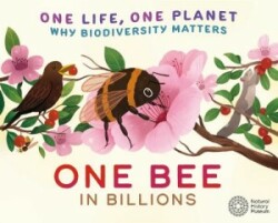 One Life, One Planet: One Bee in Billions