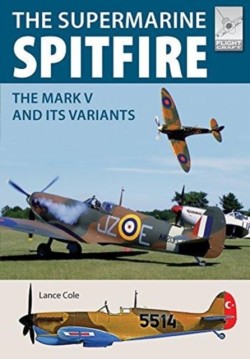 Flight Craft 15: Supermarine Spitfire MKV