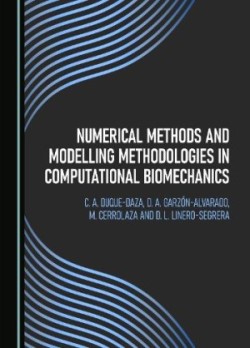 Numerical Methods and Modelling Methodologies in Computational Biomechanics