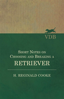 Short Notes on Choosing and Breaking a Retriever