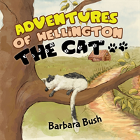 Adventures of Wellington the Cat