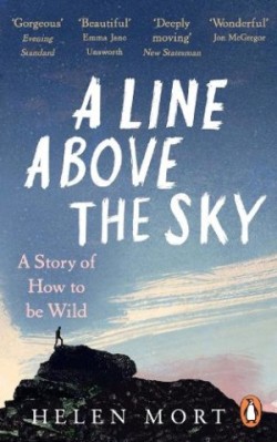 Line Above the Sky