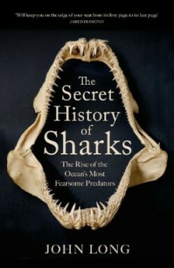 Secret History of Sharks