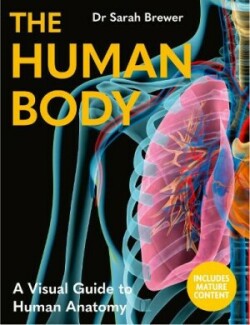 Human Body