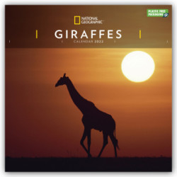 National Geographic Giraffes - Giraffen 2022