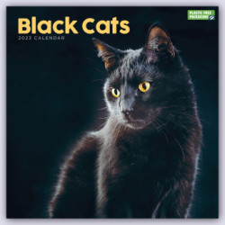 Black Cats - Schwarze Katzen 2023