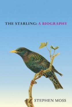 Starling