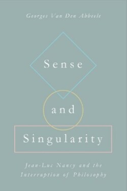 Sense and Singularity