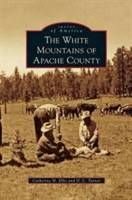 White Mountains of Apache County