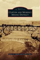 Clifton and Morenci Mining District