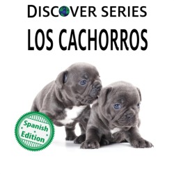 cachorros