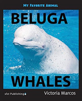 My Favorite Animal