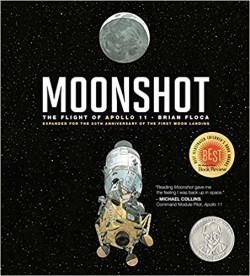 Moonshot The Flight of Apollo 11