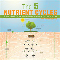 5 Nutrient Cycles - Science Book 3rd Grade Children's Science Education books