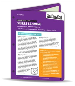 On-Your-Feet Guide to Visible Learning