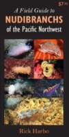 Field Guide to Nudibranchs of the Pacific Northwest