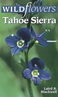 Wildflowers of the Tahoe Sierra