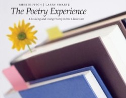 Poetry Experience