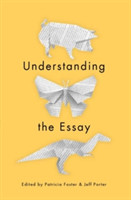 Understanding the Essay