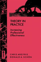 Theory in Practice : Increasing Professional Effectiveness