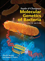 Snyder and Champness Molecular Genetics of Bacteria