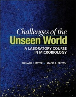 Challenges of the Unseen World