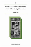 Ecology of Stray Dogs