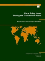 Fiscal Policy Issues During the Transition in Russia
