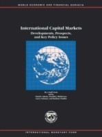 International Capital Markets