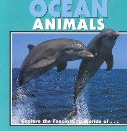 Ocean Animals