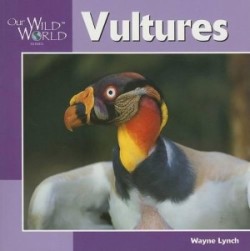 Vultures