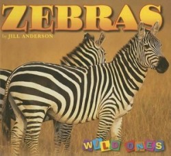 Zebras