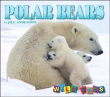 Polar Bears