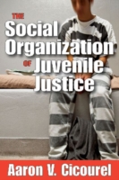 Social Organization of Juvenile Justice