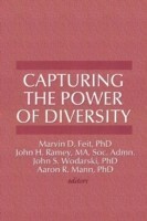 Capturing the Power of Diversity