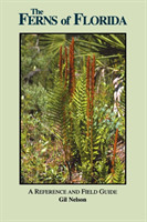 Ferns of Florida