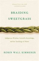Braiding Sweetgrass
